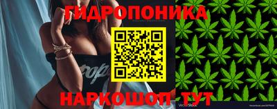 jwh Заволжье