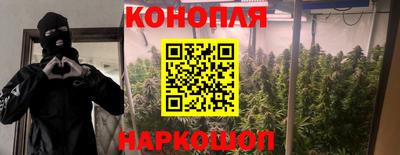 крисы Жуковский