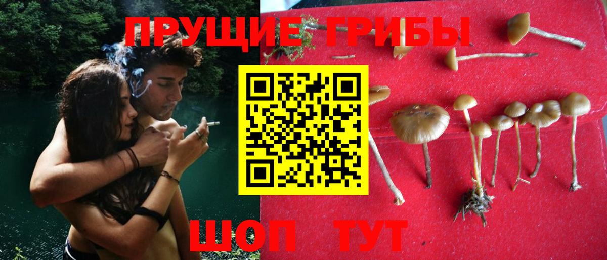 Можайск  Галлюциногенные грибы мицелий  Вход с VPN 