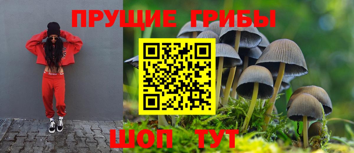 Псилоцибиновые грибы GOLDEN TEACHER Можайск